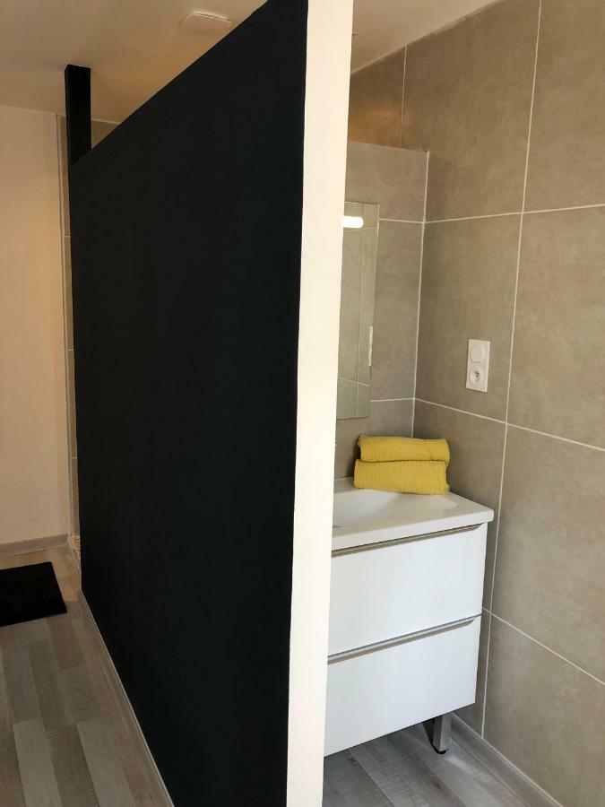 קרקסון Fraichement Renove, Spacieux, Quartier Calme, Le Cocon De Lena מראה חיצוני תמונה
